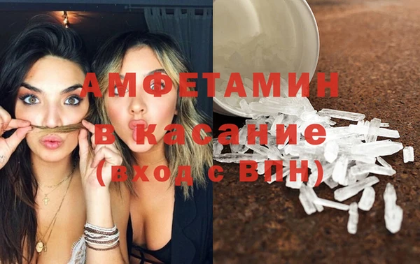 стаф Богданович